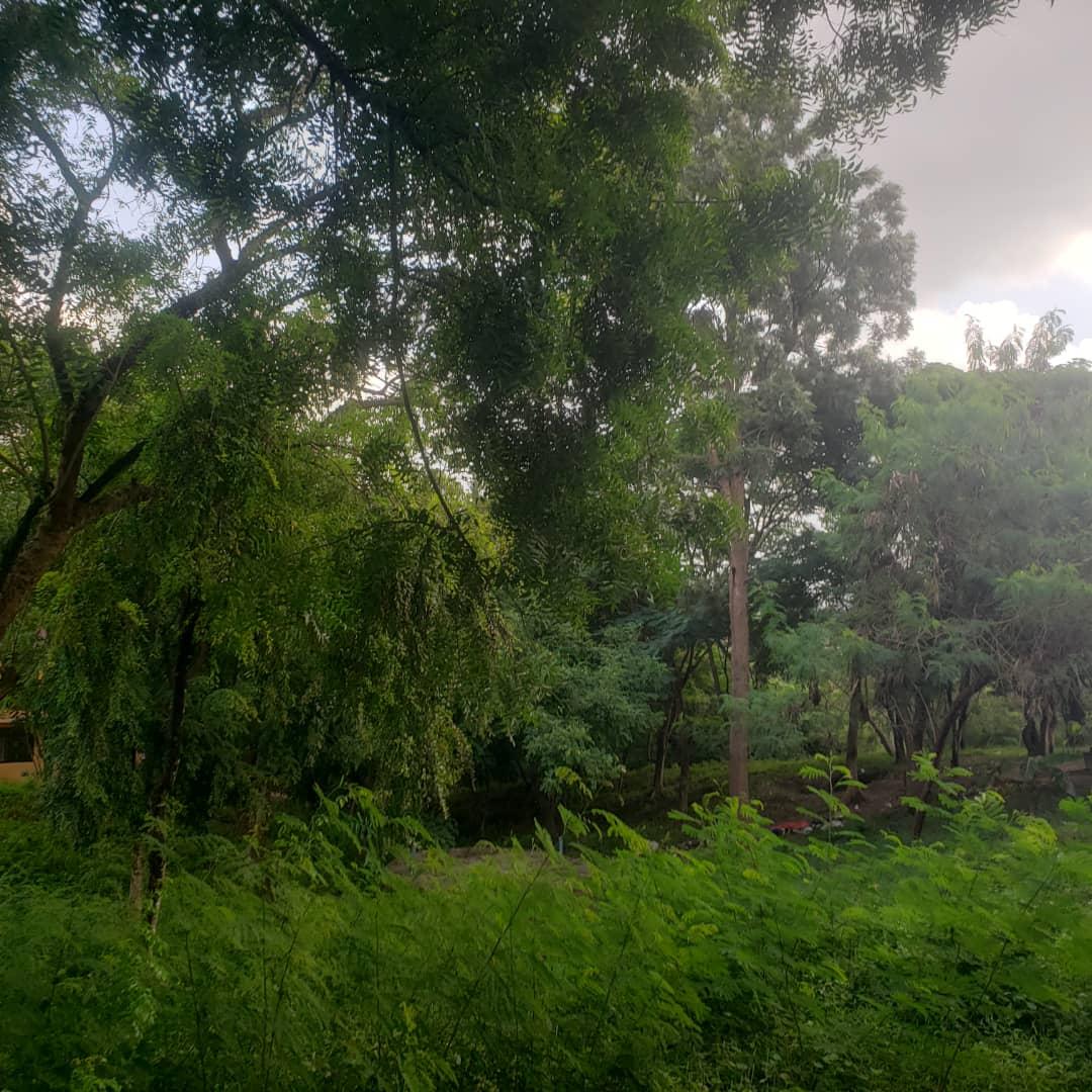 Intercity Property Hub: A Plot for Rent ~ Makongo Juu.