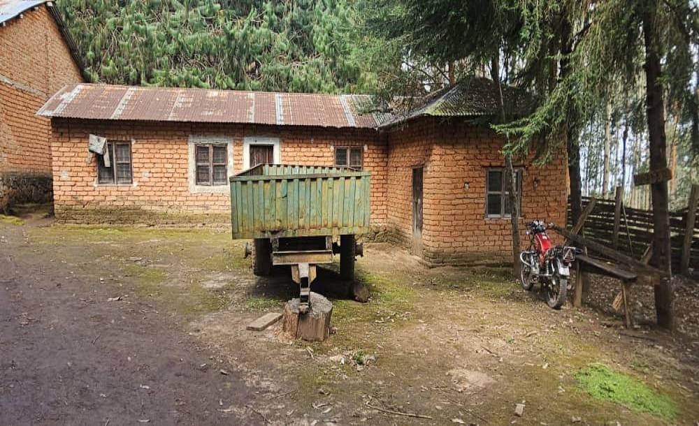 Intercity Property Hub: A 119-acre Tea Farm for Sale ~ Mufindi.-1