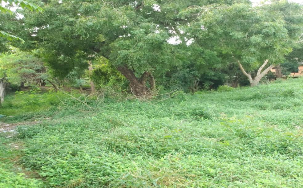 Intercity Property Hub, A Plot fo Rent-5
