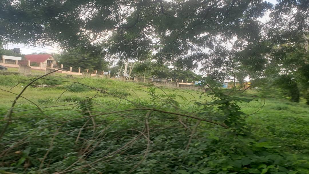 Intercity Property Hub, A Plot fo Rent-7