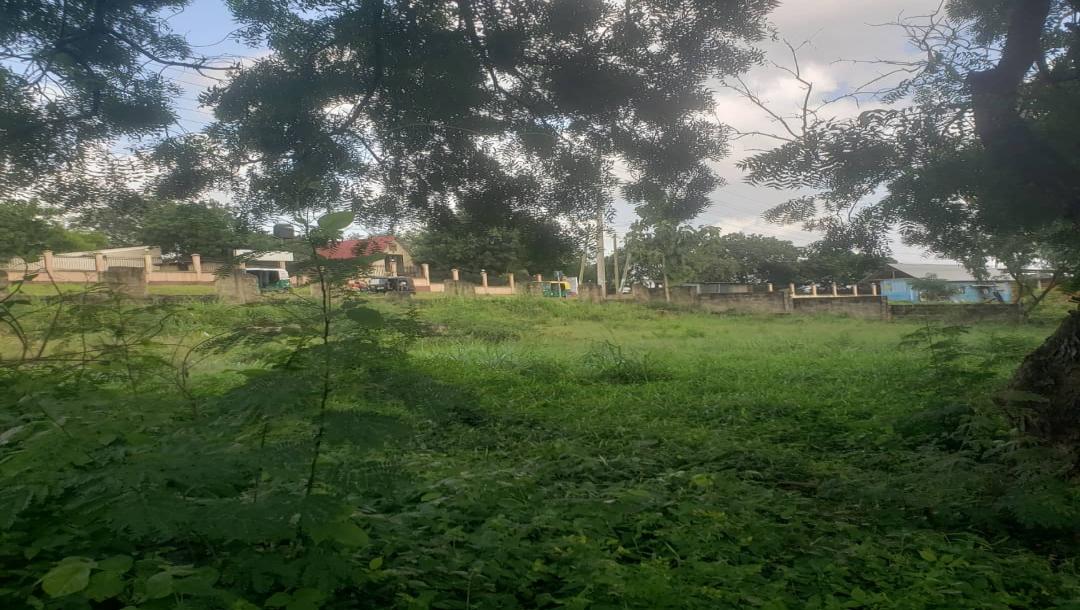 Intercity Property Hub, A Plot fo Rent-10
