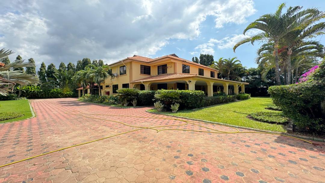 Intercity Property Hub-1