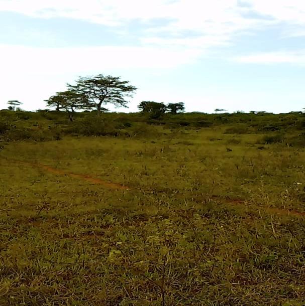 Intercity Property Hub; A 29 Acres for Sale-3