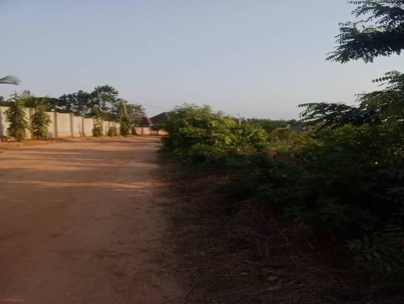 Intercity Property Hub-6