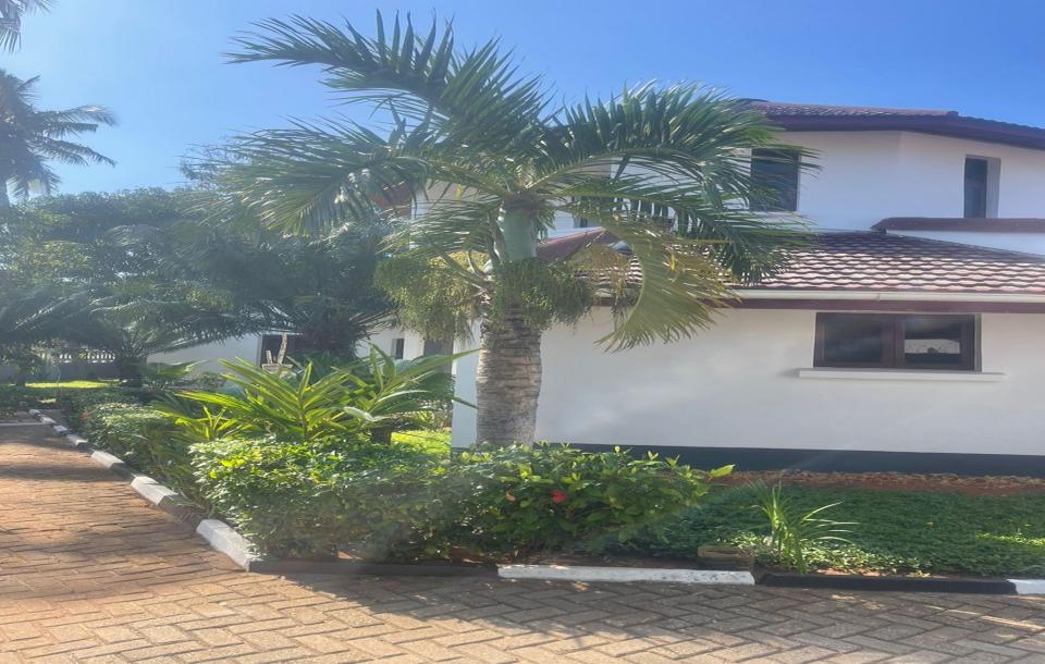 IPH; One Storey House for Rent- Mikocheni-0