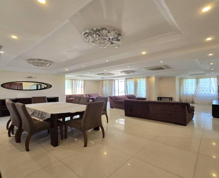 IPH; A Sea View Apartment for Rent Mikocheni-3
