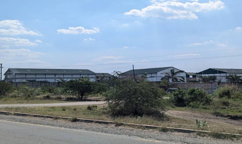 IPH: 8-Acre Plot for Sale,Makurunge- Bagamoyo-4