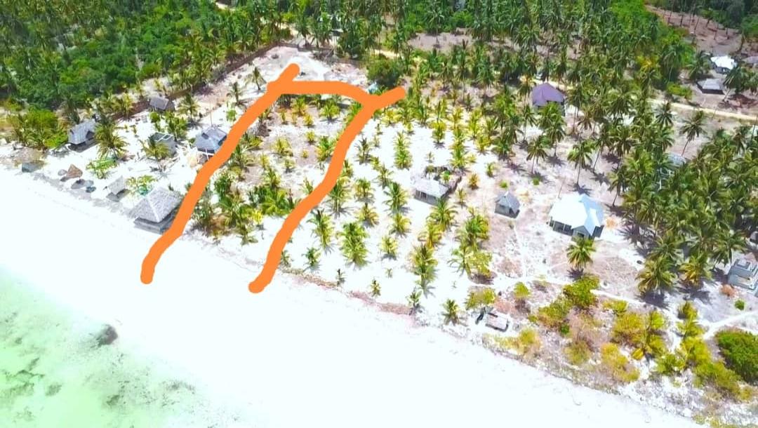 IPH: A 3.5-Acre Beach Plot for Sale, Mafia Island.-2