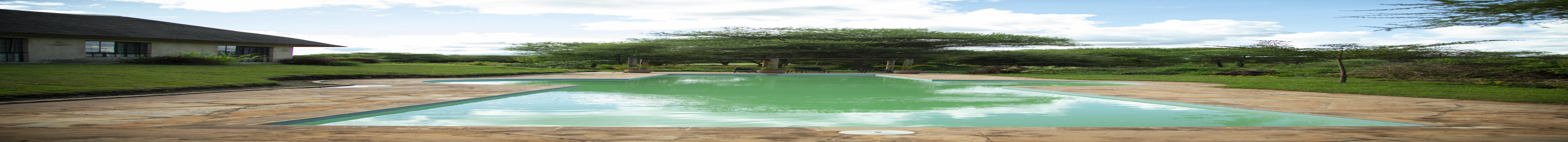 The Green Side-14