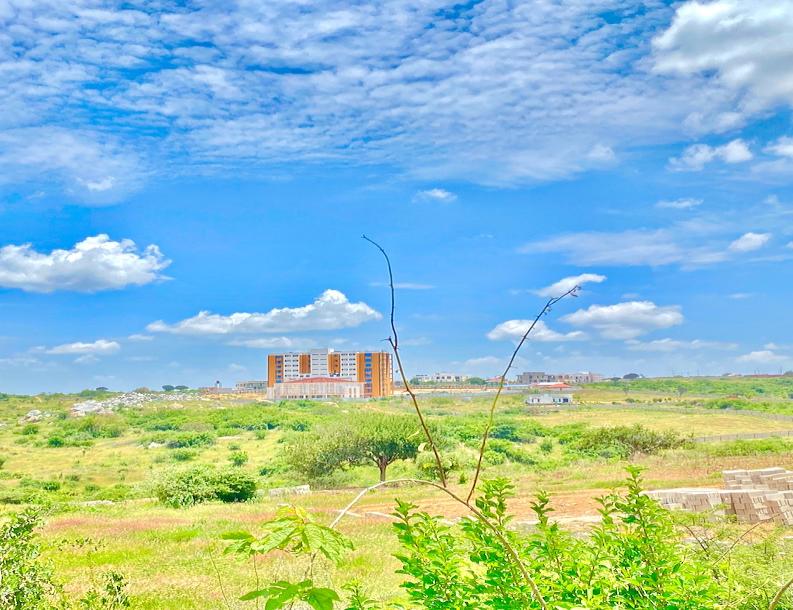 Njedengwa Investment: Kiwanja Kinauzwa kimegusa Lami, Dodoma.-3