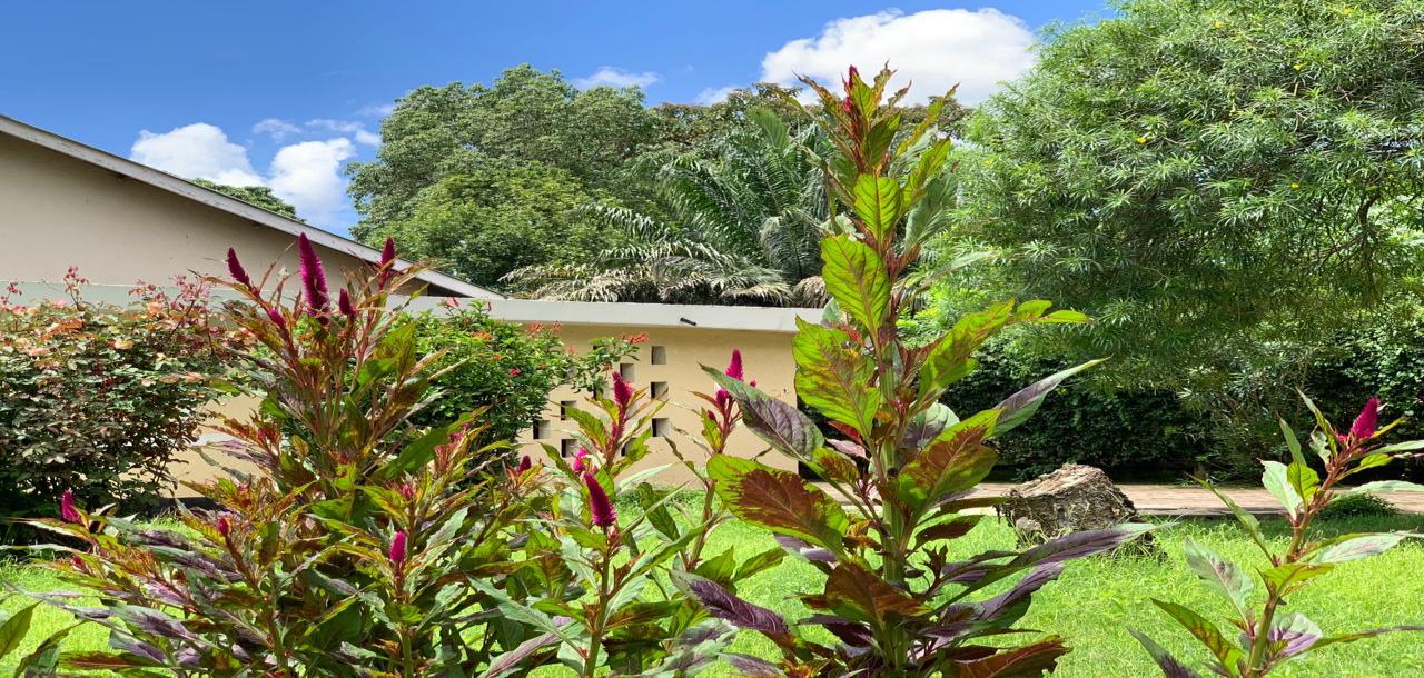 Neylisa Homestay Arusha-Iliboru-6