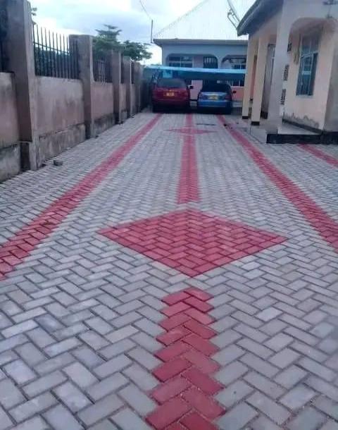 Ajaba TZ Matola: Wataalam wa Kuweka Tiles na Paving Blocks.-15